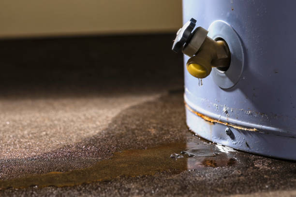 Best Local water damage restoration  in Williamsport, MD