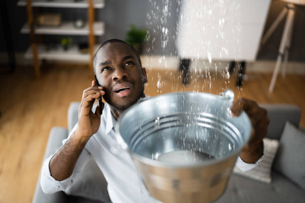 Best Water damage cleanup near me  in Williamsport, MD