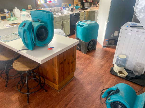 Best Professional water damage repair  in Williamsport, MD