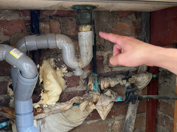 Best Water damage cleanup near me  in Williamsport, MD