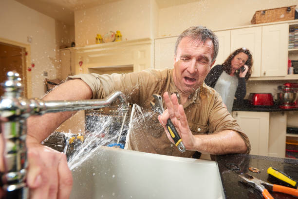 Best Flooded house restoration  in Williamsport, MD
